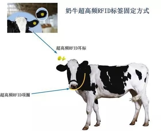 RFID技术在现实中的十大主要应用 - 武汉威杜信息科技有限公司